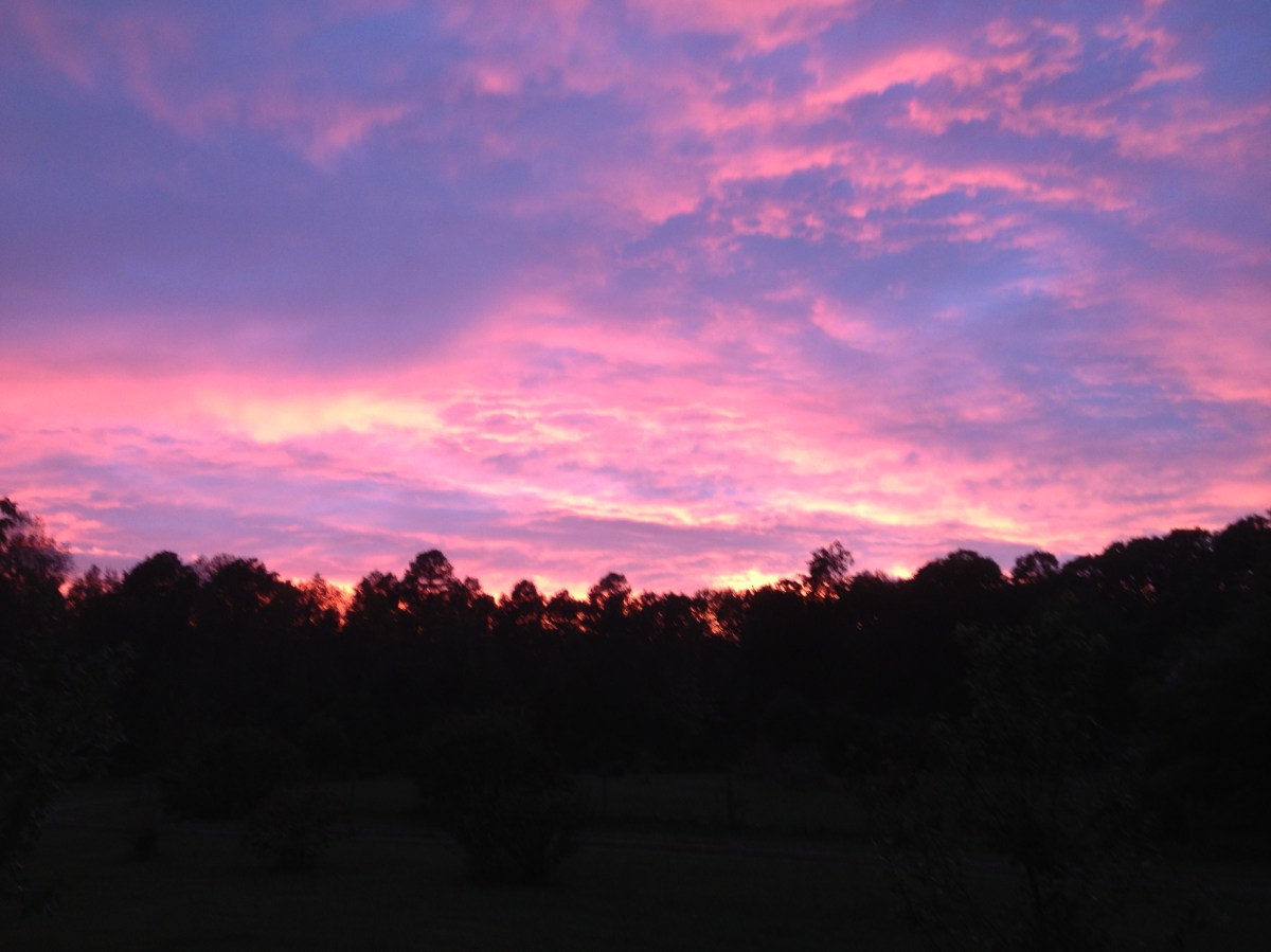 View From the&nbsp;Porch